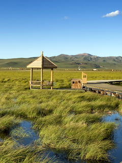 AT Ruoergai Grassland 240x320 1