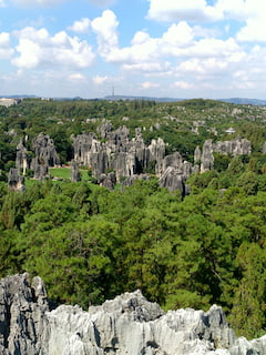 AT Stone Forest 240x320 1