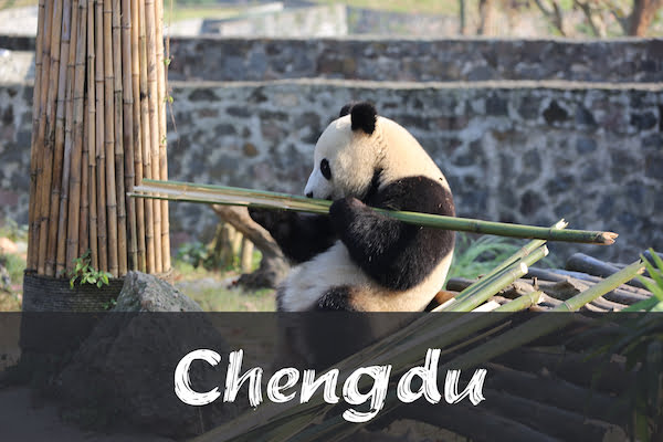 FI Chengdu destination of attraction